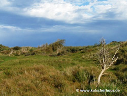 Dnenlandschaft Baltrum