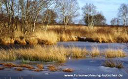 Ostfriesland Winter Ewiges Meer
